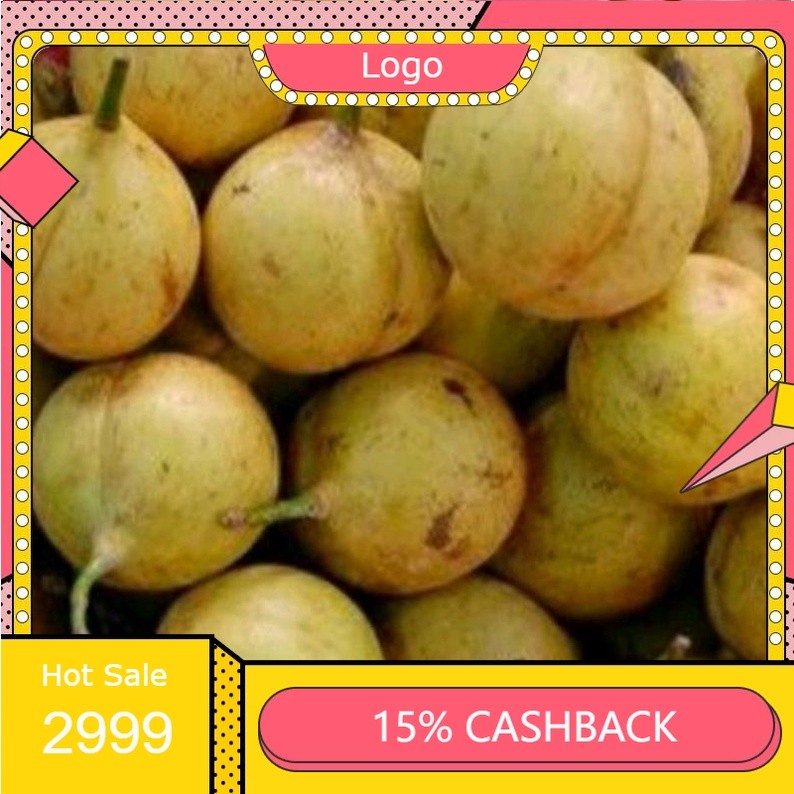 

buah pala utuh segar 500gram