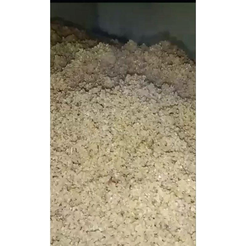 

nasi tiwul dari singkong kemasan 1 kg