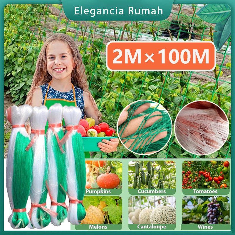 2M X 100M Jaring Perbanyakan Tanaman Kebun/Jaring Panjat Tanaman Buah/Untuk Bertani Plant Climbing N