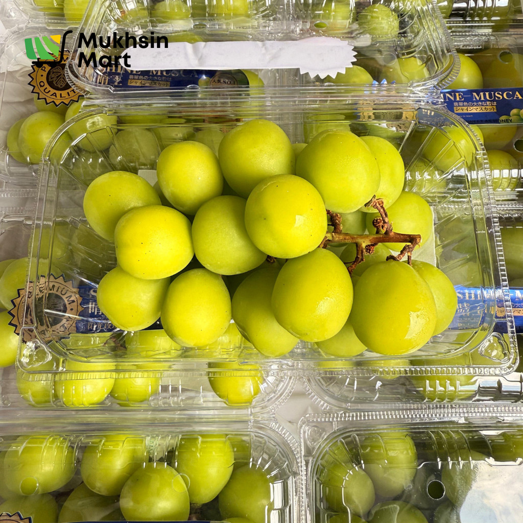 

Buah Anggur Shine Muscat