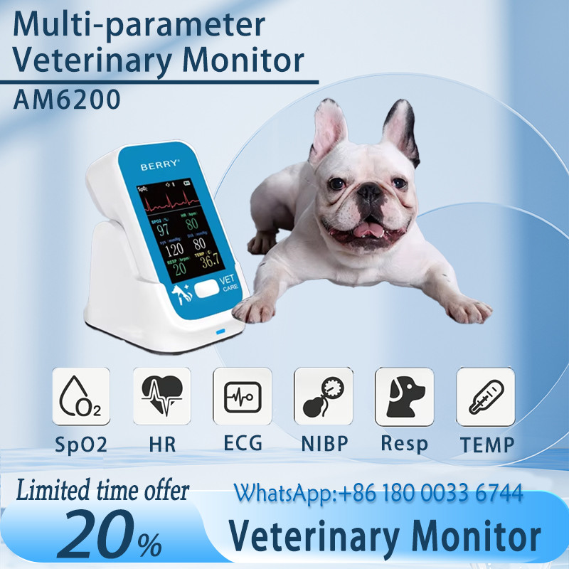 Vet use portable handheld 6-parameter monitor ECG/NIBP/PR/SPO2/RESP/TEMP Bluetooth patient monitor v
