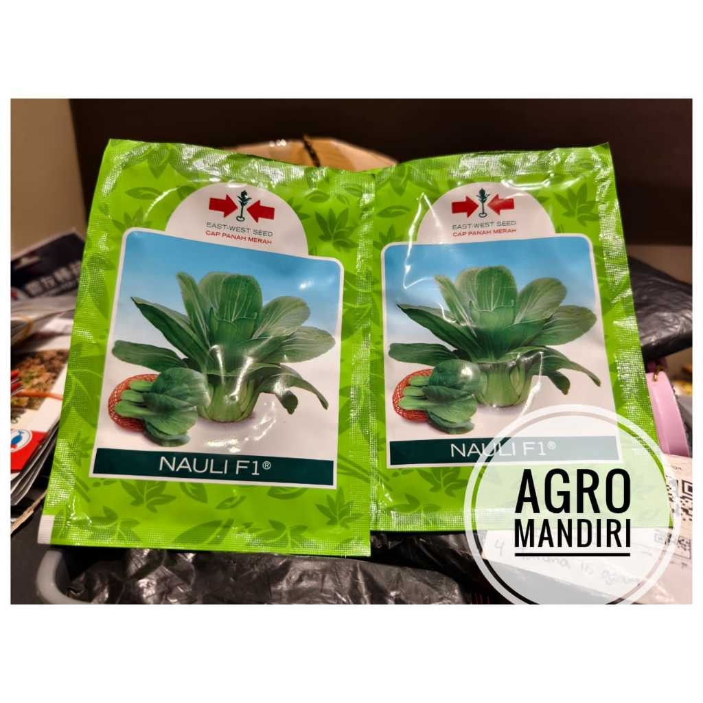 Benih Sawi Daging Nauli F1 10 Gram Cap Panah Merah Bibit Pakcoy Daging Sendok Unggulan Kemasan Origi