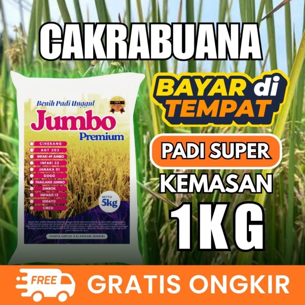 Bibit Padi Unggul Cakrabuana 1kg Berkualitas