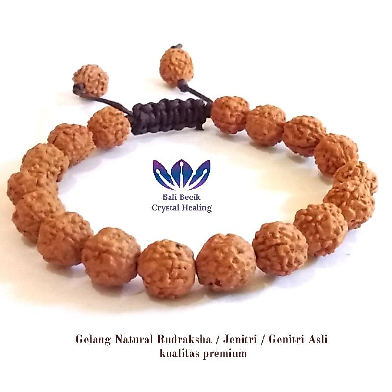Gelang Natural Rudraksha Jenitri Genitri Asli