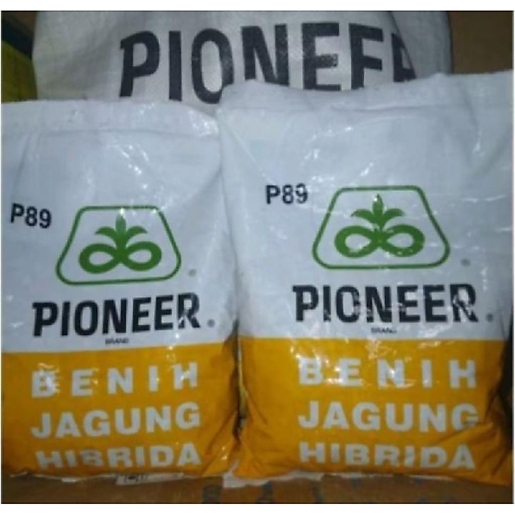 BENIH JAGUNG HIBRRIDA PIONEER P89 KEMASAN 1KG ORIGINAL