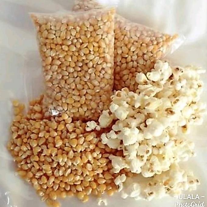 Jagung Popcorn Mentah 500gr  Kwalitas OK / Brondong /biji jagung pop cron rasa original Alqshop