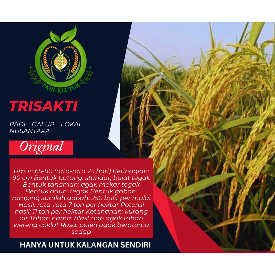 Benih/bibit padi trisakti 5kg ORIGINAL PRODUK