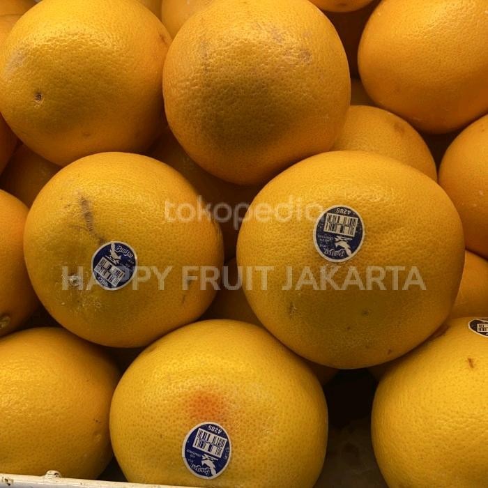 

Jeruk grapefruit ruby daging merah / jeruk ruby grapefruit USA 1 kg