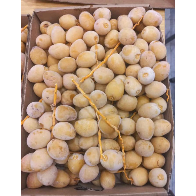 Kurma Muda Ruthob Barhi Besar 500gram Manis Khusus Gojek Grab Surabaya dst