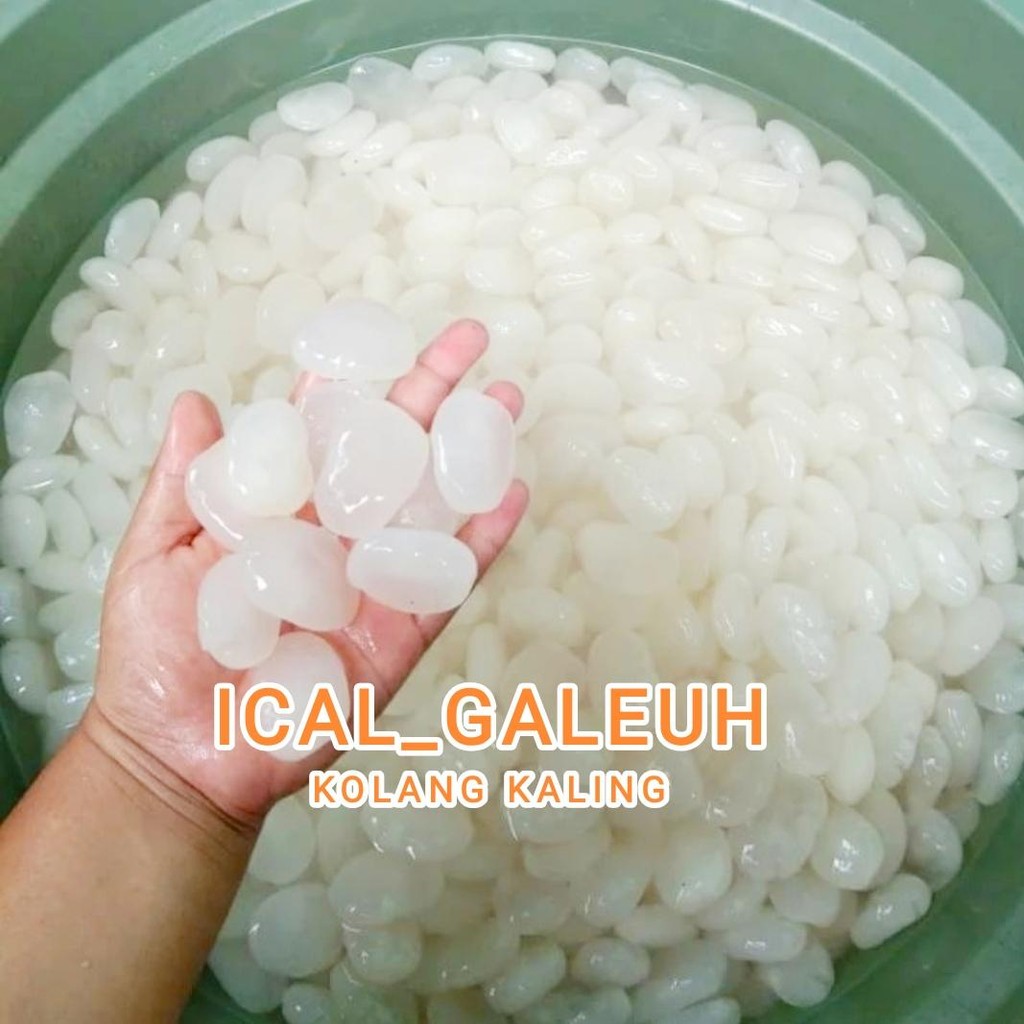 

Kolang Kaling Mentah Kualitas Super 1 kg campuran minuman kolak dan sirup