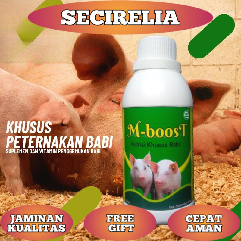M BOOST NUTRISI PENGGEMUKAN BABI VITAMIN SUPLEMEN TERNAK BABI