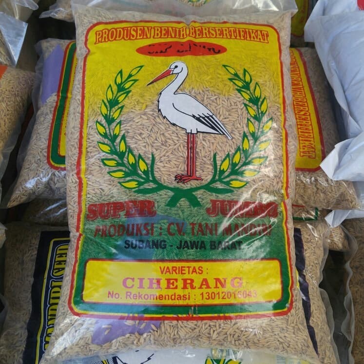 Benih Padi Unggul Bersertifikat Ciherang Jumbo Label Ungu Kemasan 5 kg