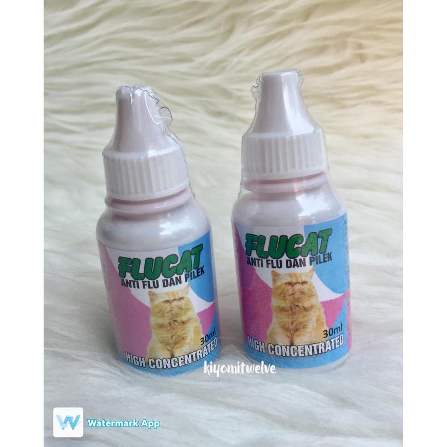 Flucat Obat Flu Kucing Obat Pilek Kucing Flu Cat Obat Flu dan Pilek