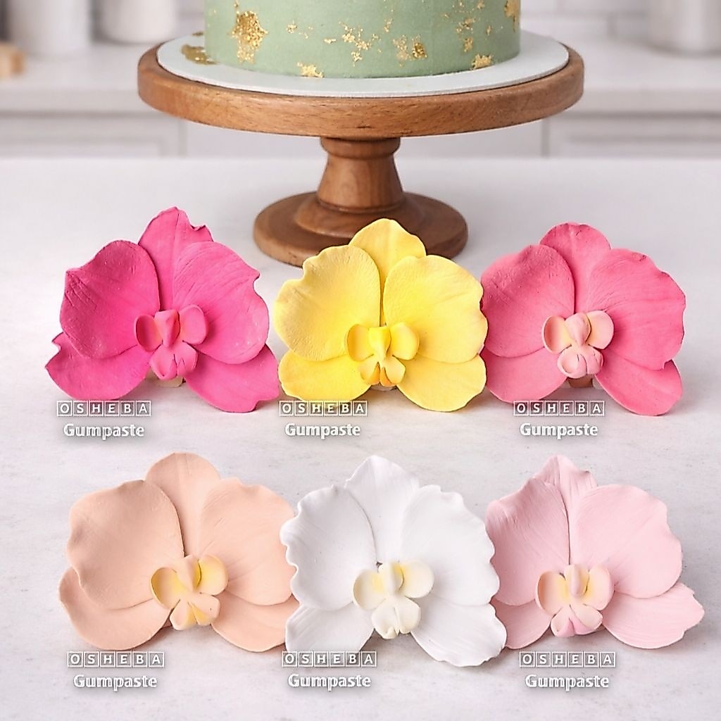 [osheba] gumpaste bunga bs anggrek bulan moth 11