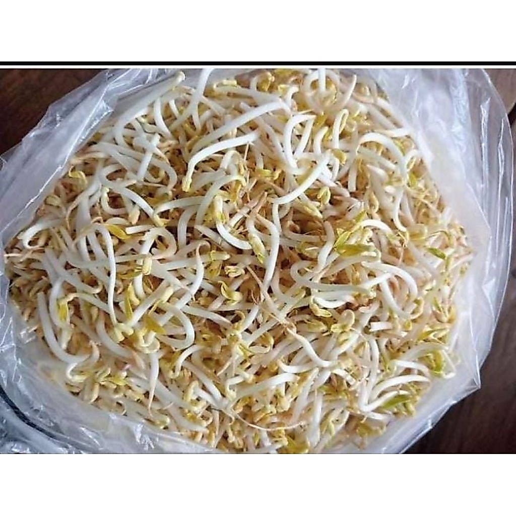 Toge Cambah Perbungkus