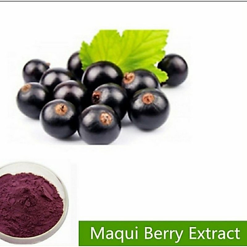 Maqui Berry Extract Powder 25 gr / Brightening Skin premium