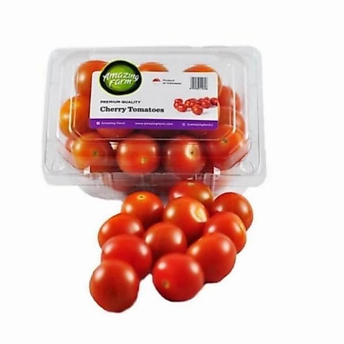 Allthebest- Highland Tomat Cherry Merah Hidroponik Hidroponik 1 pack