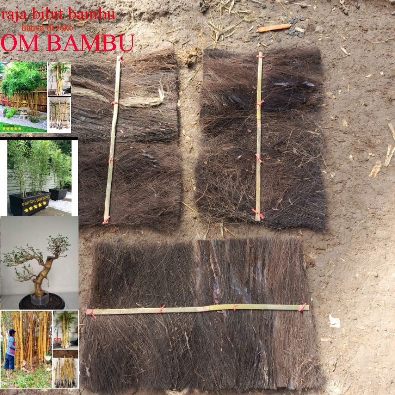 injuk kakaban tempat telur ikan mas dll