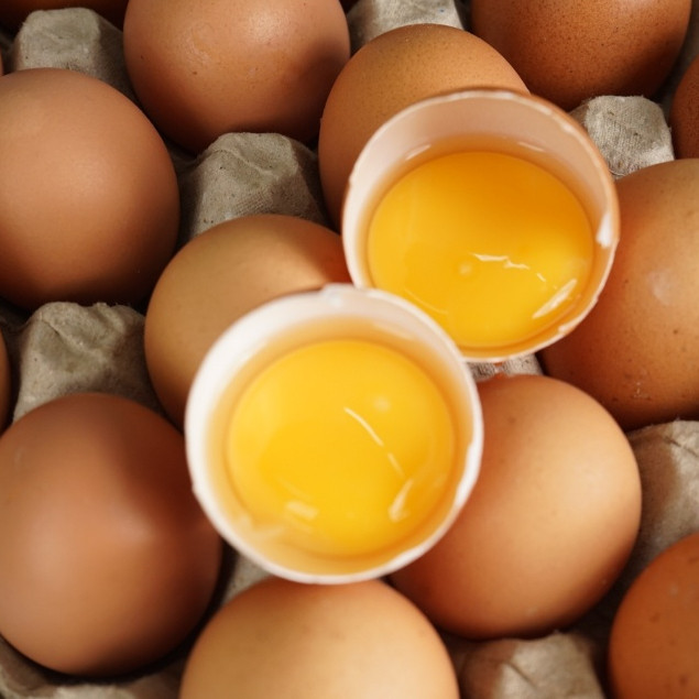 

NEW Telur Ayam Negeri PREMIUM - 30 pcs GRADE A Fresh Bersih Kualitas Terbaik