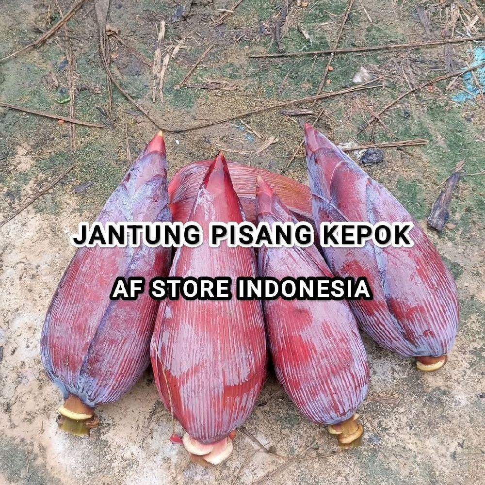 

Jantung Pisang Kepok Segar siap masak - Harga per Buah Sayuran Jantung pisang