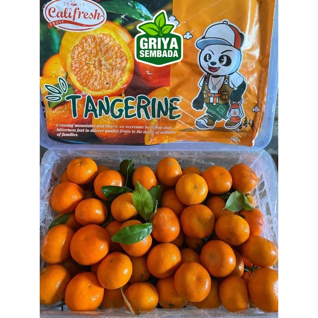 

Instant JERUK SANTANG TANGERIN 1 KERANJANG 9kg Sameday - Griya Sembada