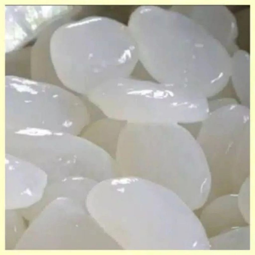 

Kolang kaling segar kolang kaling super kolang kaling medan kualitas terbaik 1 kg