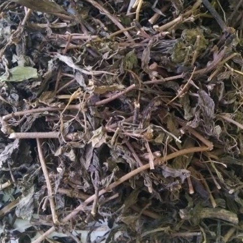 

daun kumis kucing kering untuk herbal,per 1kg bersih,mengobati jantung A.S A. B