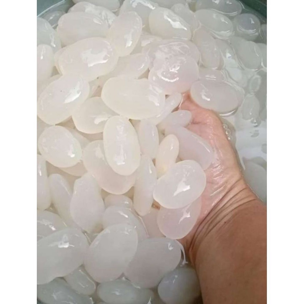 500 GR Kolang Kaling Segar Asli | Manisan Kolang-Kaling Siap Olah - Kenyal Segar