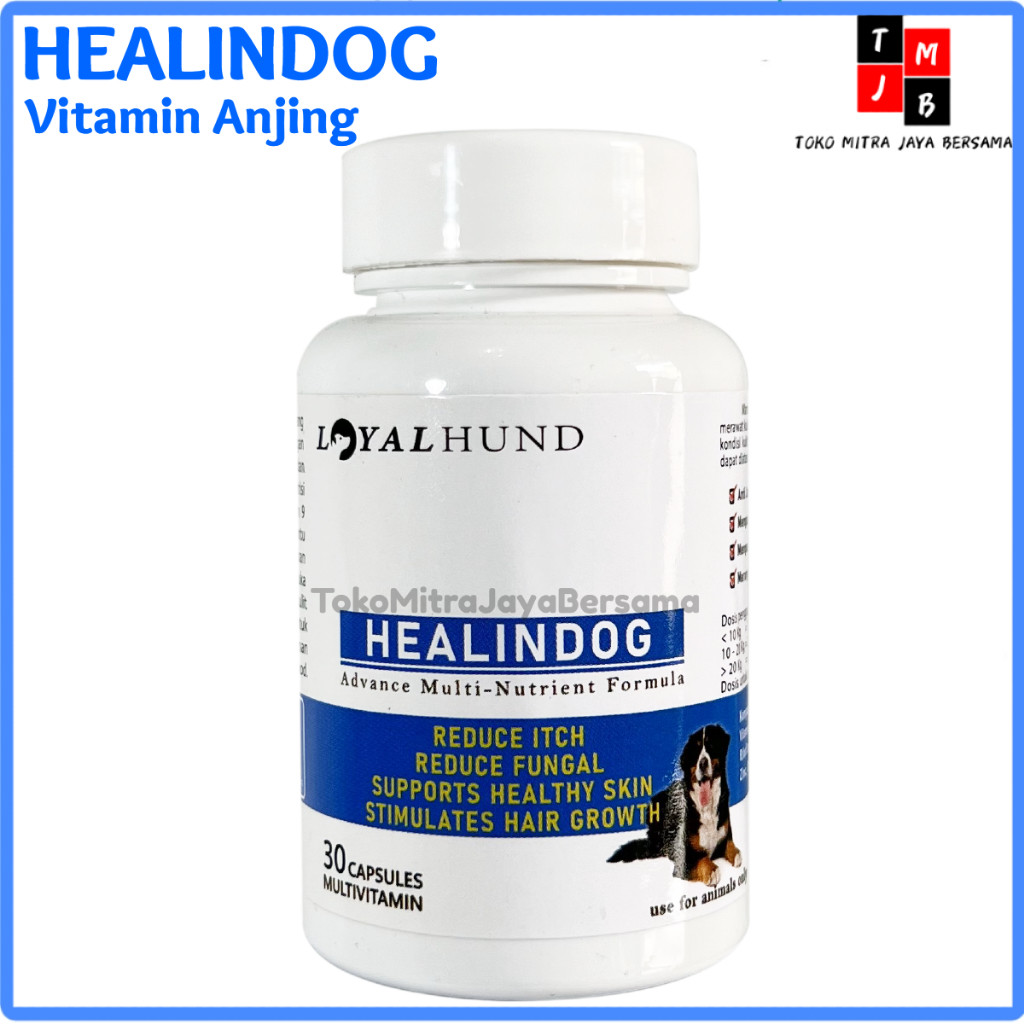 Vitamin Anjing Bulu Rontok Obat Anjing Healindog Bulu Dog Food Obat Kulit