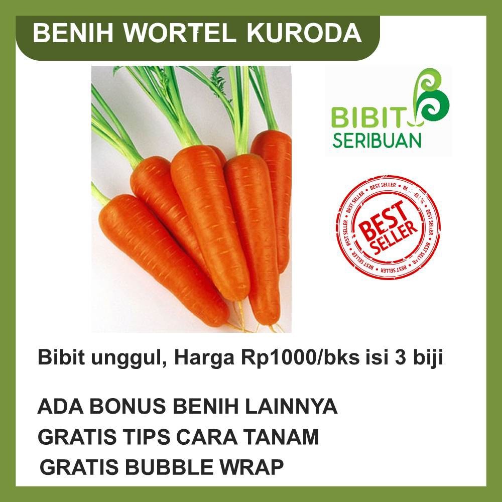 50 BUNGKUS BENIH WORTEL JUMBO SAYURAN