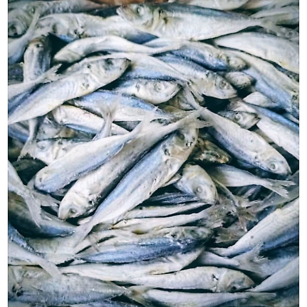 IKAN PEDA IKAN ASIN PEDA LAYANG KECIL / LONCO / PERKAK 500 GRAM