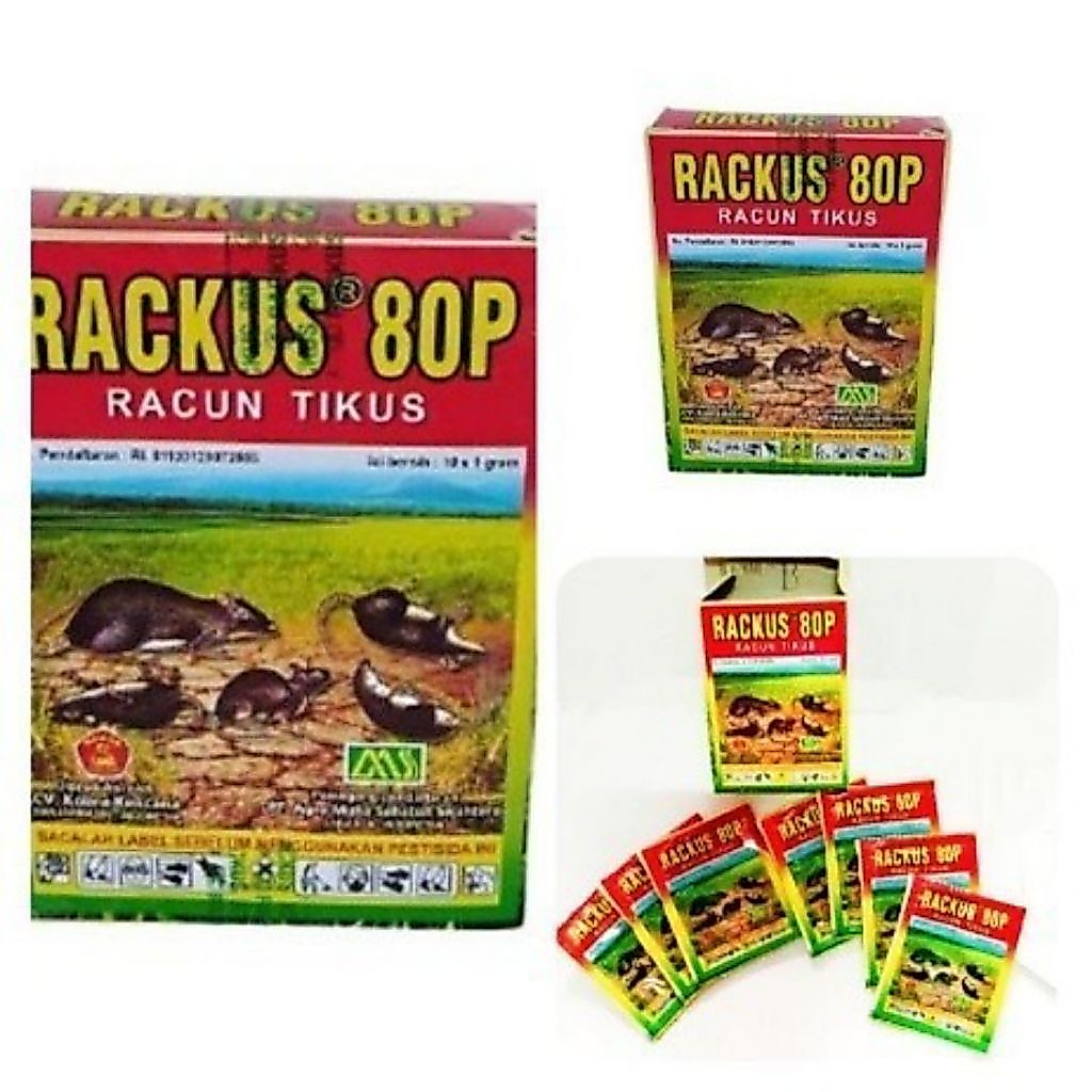 racun tikus/bubuk/rackus