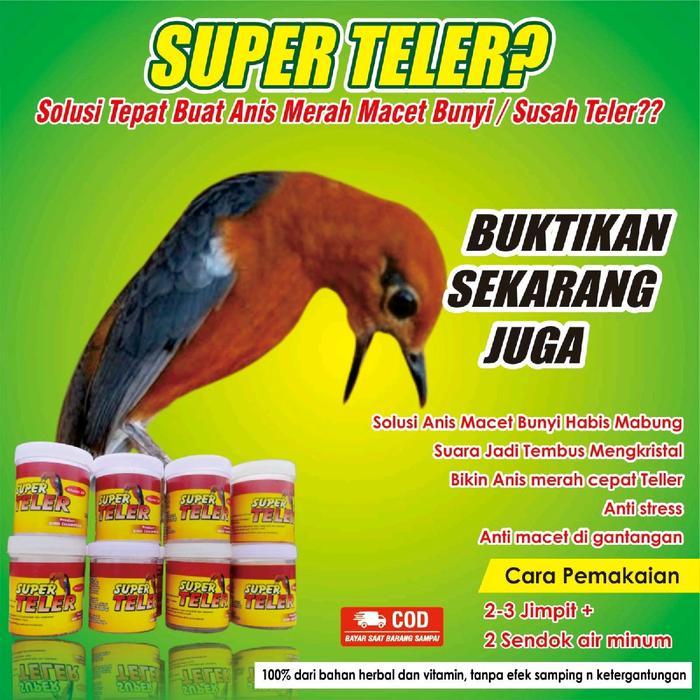 Vitamin burung Anis merah,  super teler ampuh mengatasi Anis merah macet bunyi