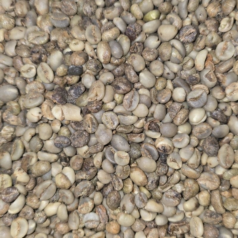 

JAMIN MURAH !!!Sunda Wangi- Green Beans Biji Kopi Robusta Asalan Grade 3 B - 1Kg (GRATIS ONGKIR)(BISA LANGSUNG ORDER)