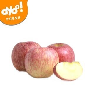 

Apel Fuji 900 g - 1000 g