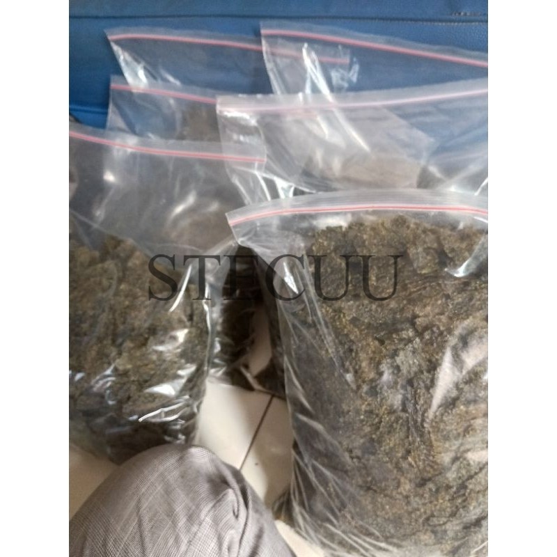 NORI RUMPUT LAUT 1 KG KUALITAS TERBAIK