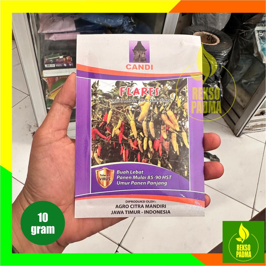 CABE FLares bibit benih cabe  rawit tipe gantung
