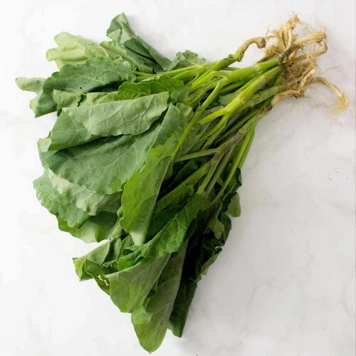 Kailan Hidroponik Hidroponik 250 gram