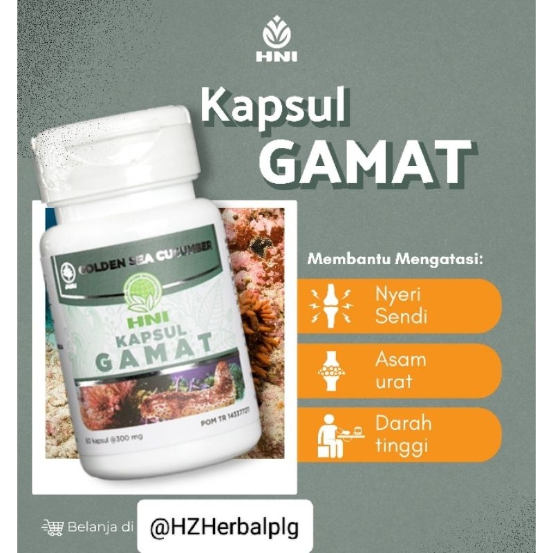 Kapsul Gamat HNI HPAI 100% ORIGINAL Gamat Emas Membantu mengatasi sakit persendian dan pasca operasi