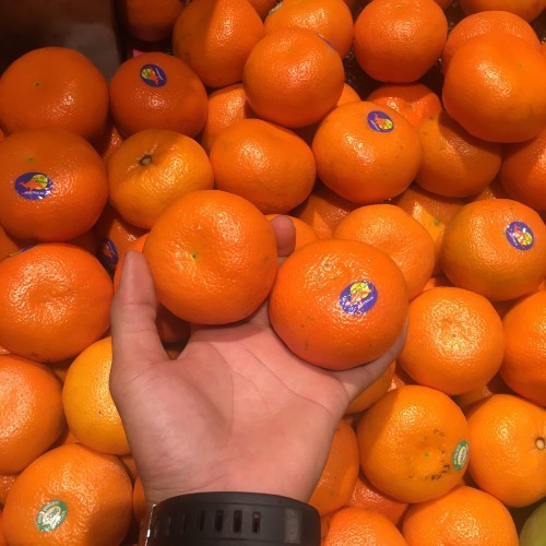

Buah Jeruk Mandarin Murcot Manis