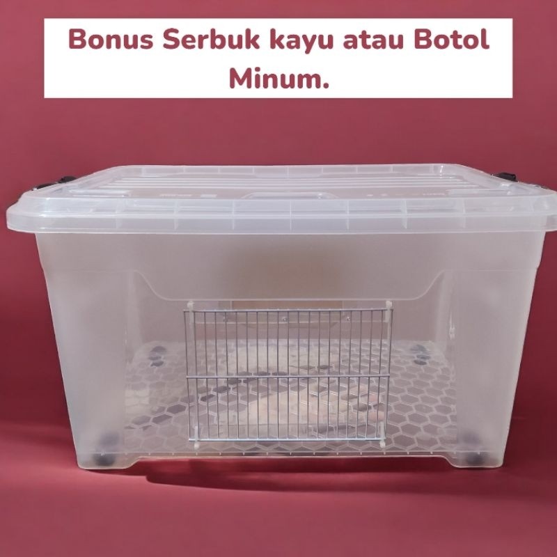 Kandang Hamster Dan Landak Mini Besar Transparan