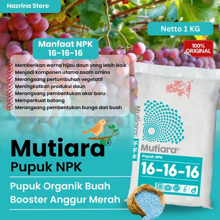 Pupuk Booster Anggur Merah NPK Mutiara – Super Pelebat Buah & Anti Rontok Bunga