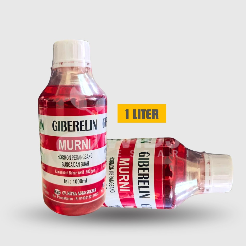 Hormon Giberelin 1 Liter Meningkatkan Bunga Buah dan Hasil Panen