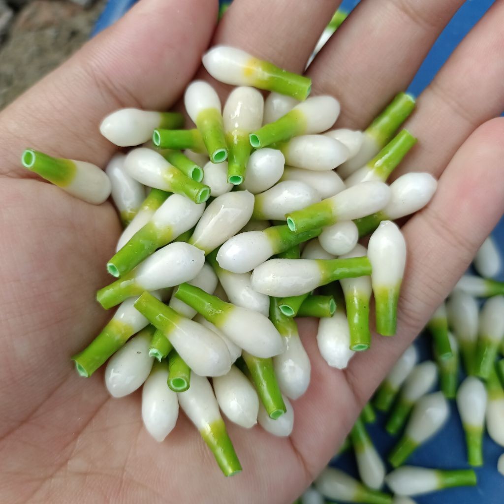 Melati Imitasi seperti asli/ Melati Palsu / Melati Kuncup Imitasi Premium 100 Pcs termurah