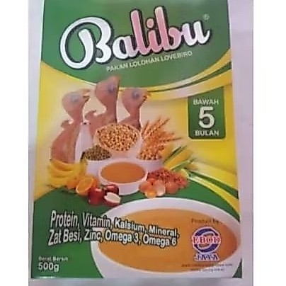 BALIBU BUBUR LOLOHAN BURUNG KICAU LOLOHAN PIYIK