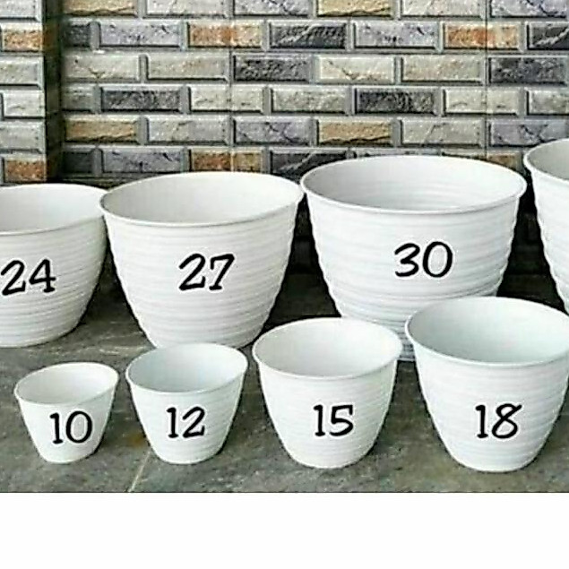 POT TAWON PUTIH / POT TAWON MADU / POT VIRAL / POT BUNGA