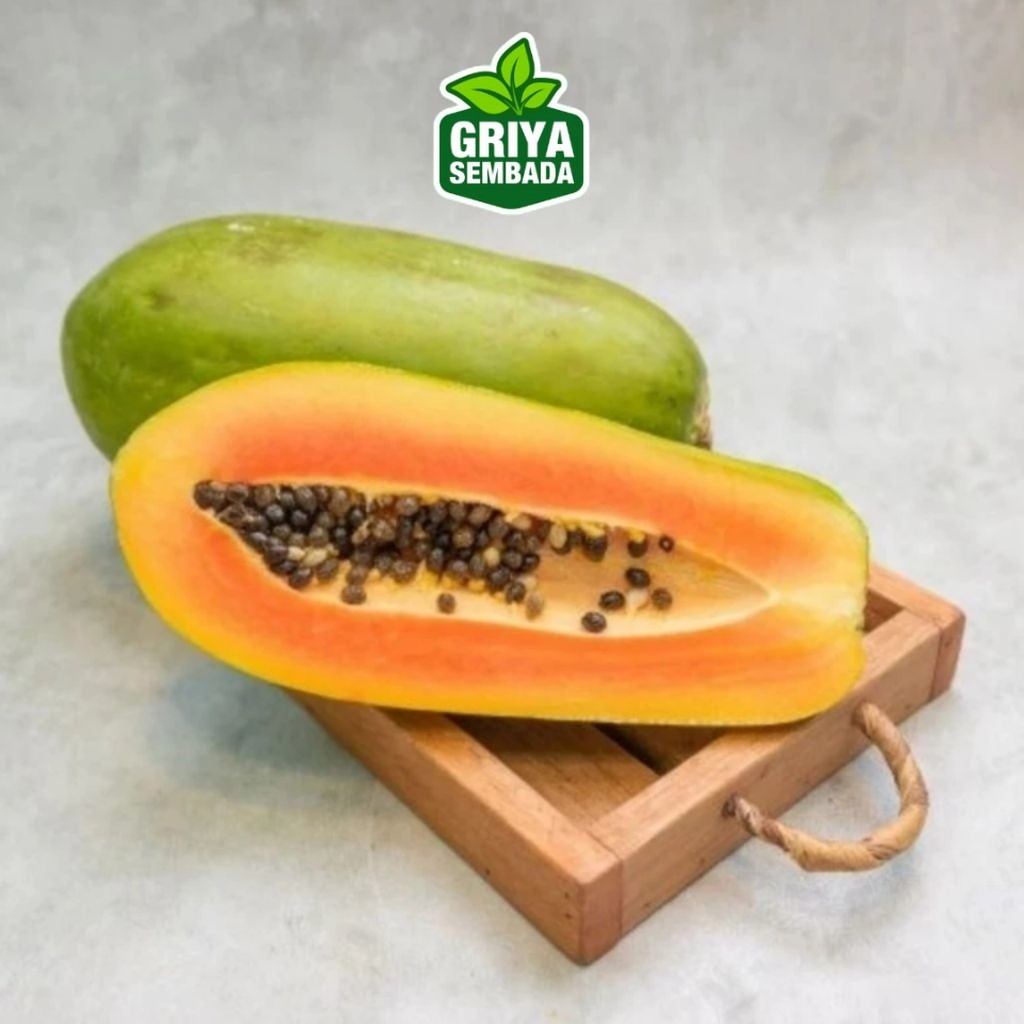

Instant Pepaya California 1.5 kg up / buah pepaya fresh 1 buah Griya Sembada/ Semarang Griya Sembada