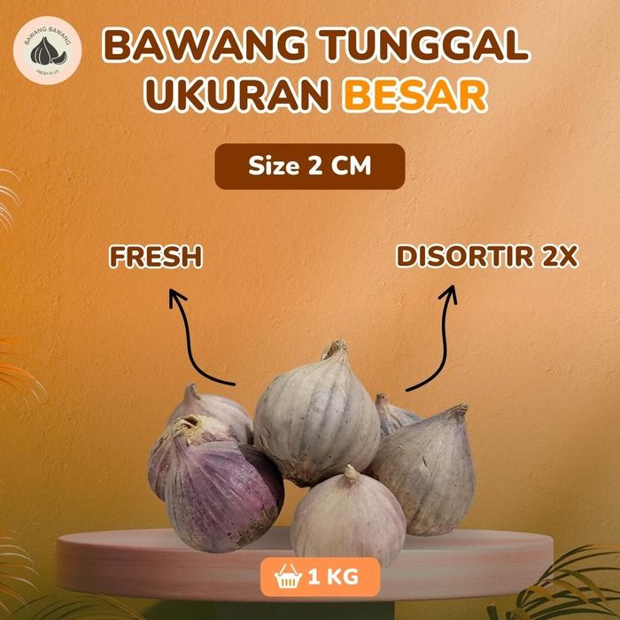 

Bawang Putih Tunggal Lanang BESAR 2 cm 1 KG