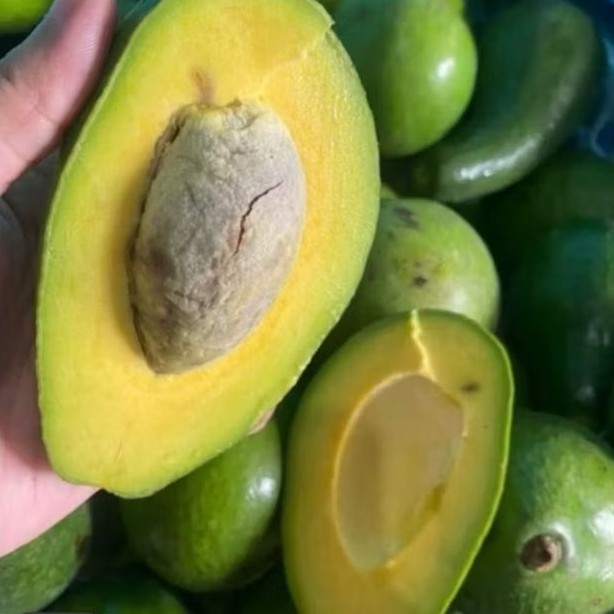 

Alpukat mentega 1 kg 4 dan 5 buah fresh