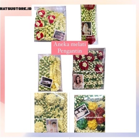 melati manten/melati pengantin